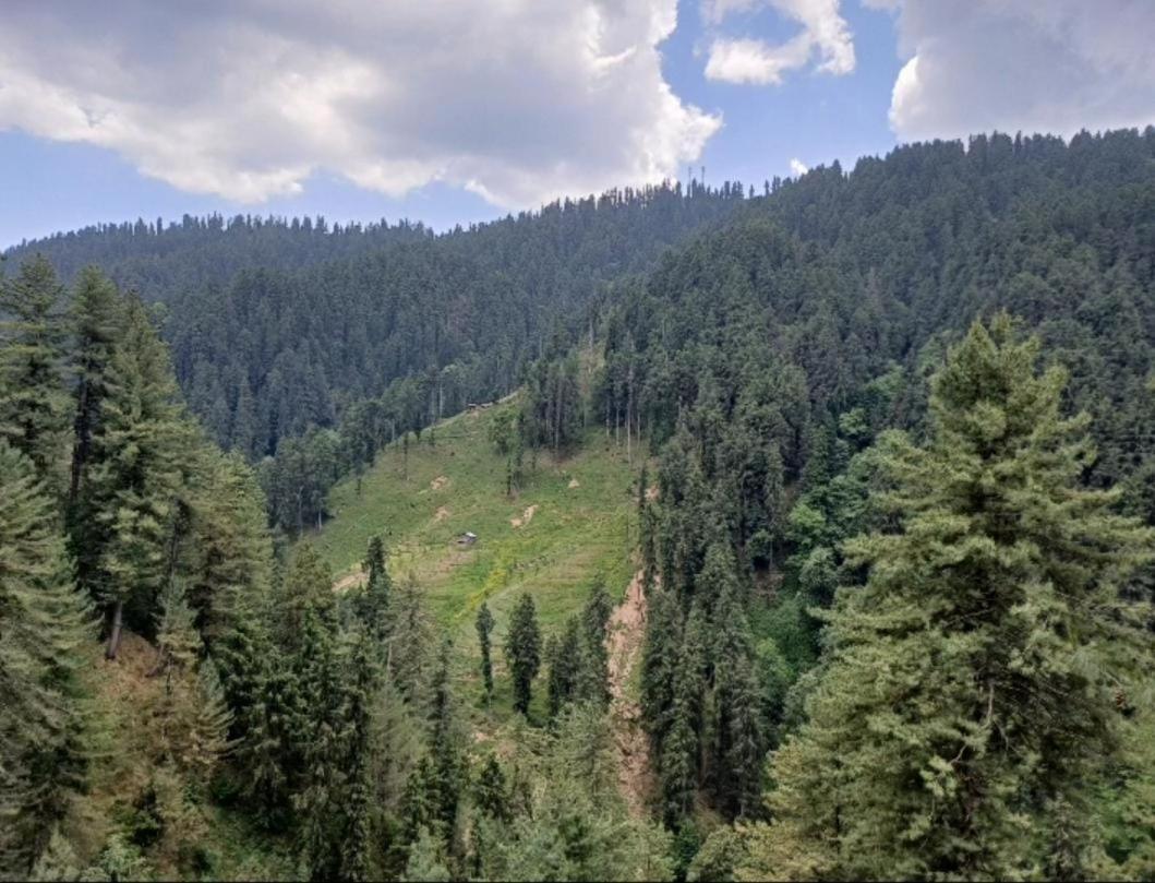 The Nature Dreams I Vacations I Conference I Mice I Family Events I Open Air Terrace I Sky Bonfire I Kufri By Exotic Stays Shimla Exterior foto