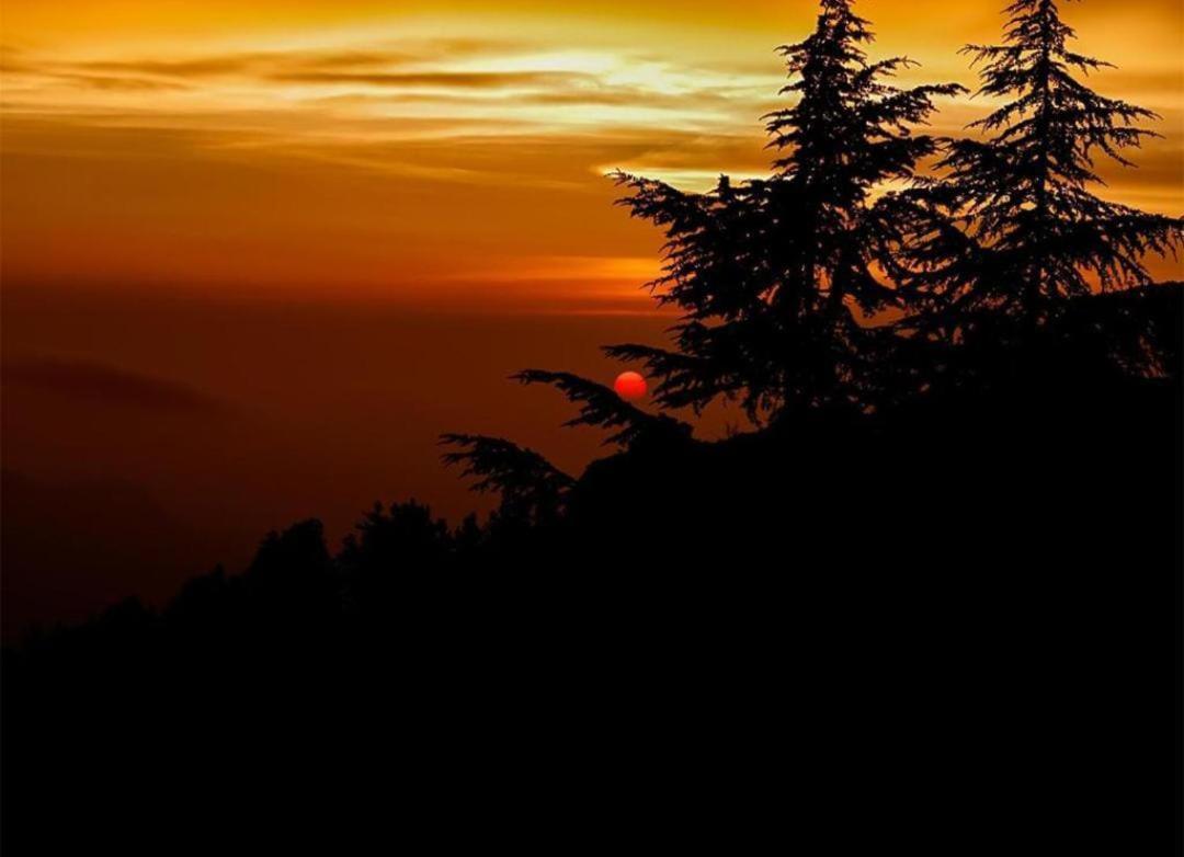 The Nature Dreams I Vacations I Conference I Mice I Family Events I Open Air Terrace I Sky Bonfire I Kufri By Exotic Stays Shimla Exterior foto