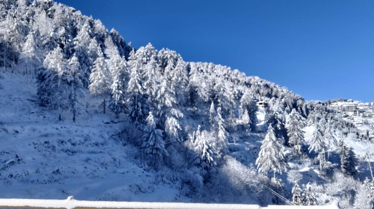 The Nature Dreams I Vacations I Conference I Mice I Family Events I Open Air Terrace I Sky Bonfire I Kufri By Exotic Stays Shimla Exterior foto