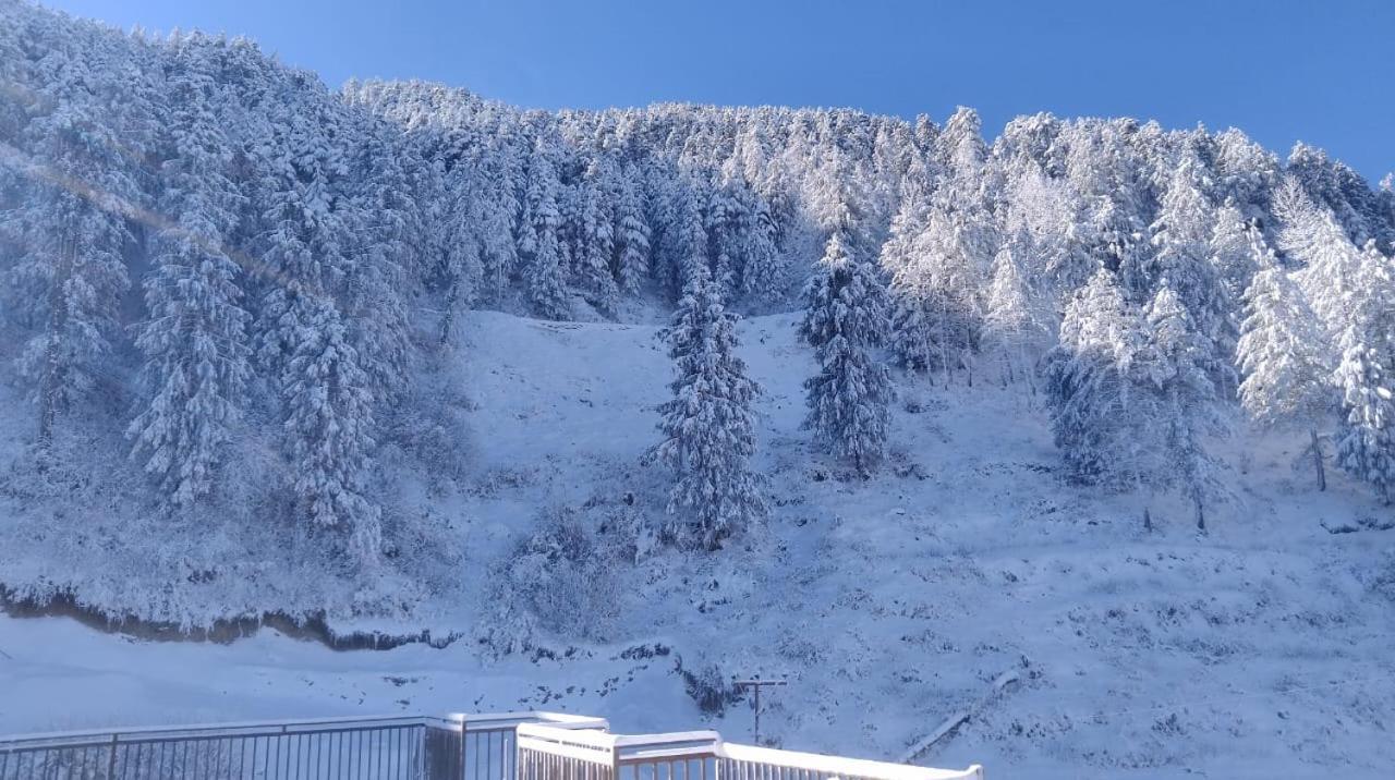 The Nature Dreams I Vacations I Conference I Mice I Family Events I Open Air Terrace I Sky Bonfire I Kufri By Exotic Stays Shimla Exterior foto